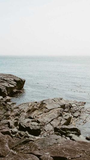 蜘蛛池是什么截图3