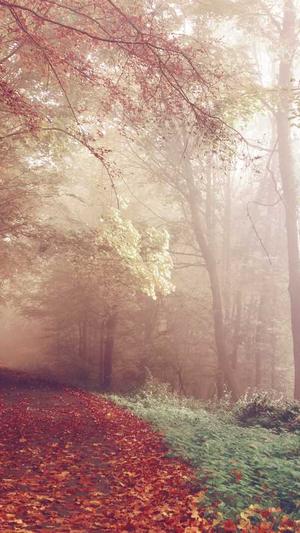 国家建设部网站截图1