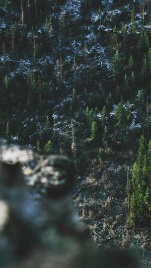 驭宝seo工具截图3