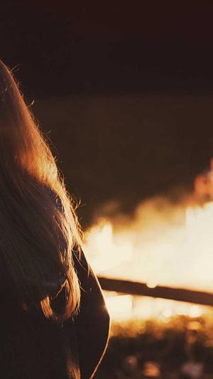 蜘蛛池外链代发截图4