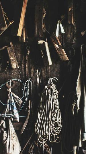 蜘蛛池在的徽ahua seσ截图3