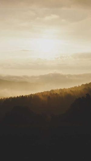 蜘蛛池怎么玩最好截图2