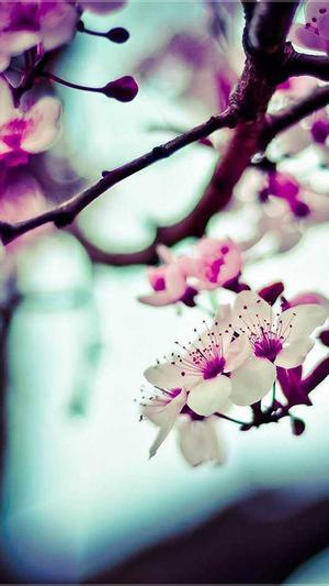 搜索seo热门工具大全截图5