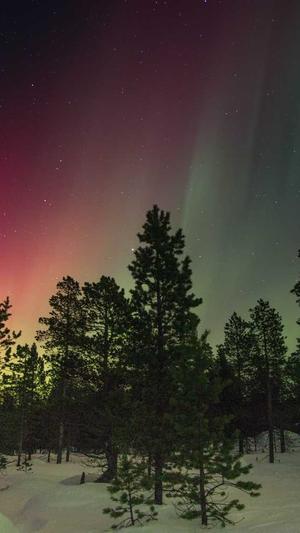 蜘蛛池图片大全大图截图3