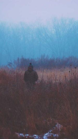 seo从入门到精通截图1