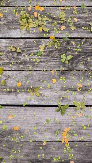 建设网站哪家好截图1