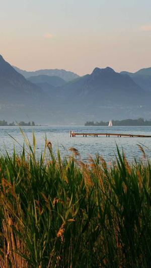 seo优化工具效果好软件排名截图4