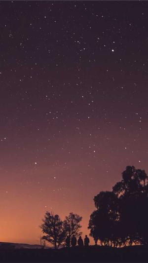 泛目录站群系统源码截图1