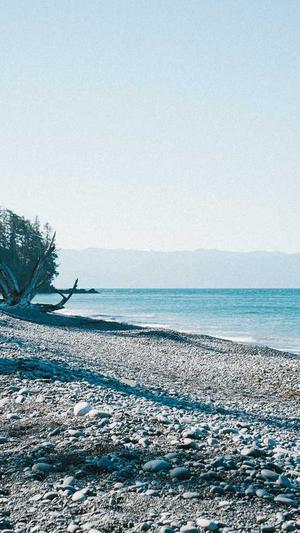 网站seo收录工具截图2