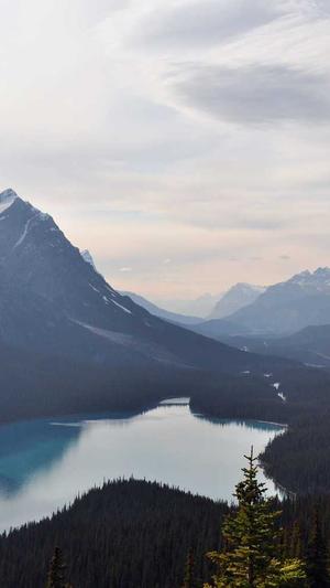 新民市蜘蛛池接单截图1