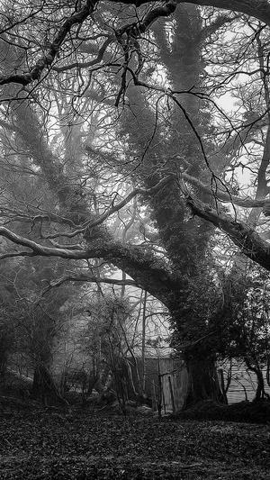 蜘蛛池免费优化截图2