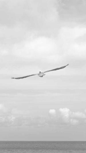 平顶山网站建设截图5