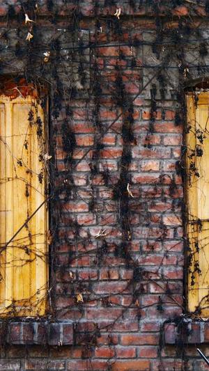 seo优化网站工具截图3