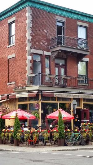 seo收录查询工具截图4