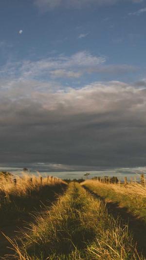 优秀网站建设截图1