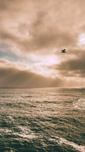 互点工具seo优化截图1