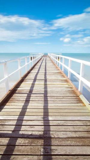 semrush是seo工具吗截图2