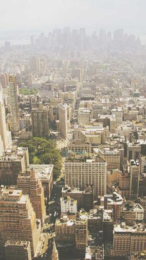 seo工具最新免费版截图1