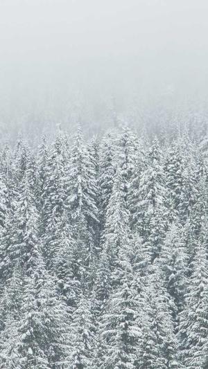 网站建设公司哪家最好截图3