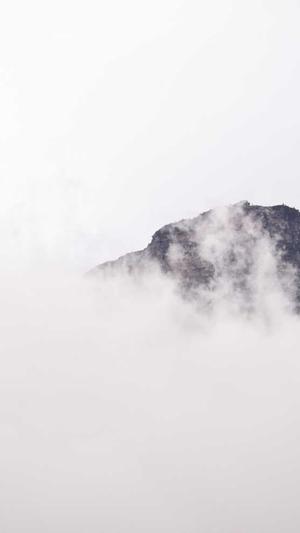 泛目录是什么推广软件截图3