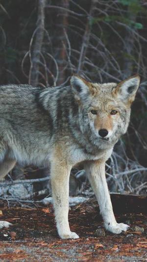 泛目录论坛截图3