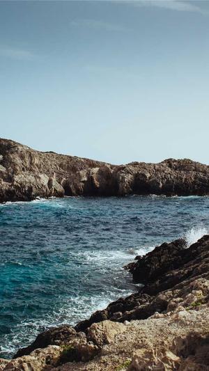 搭建蜘蛛池技巧视频截图4