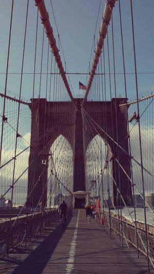 搭建蜘蛛池技巧视频截图2