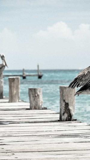 互点工具seo优化截图3