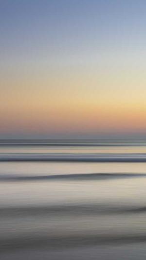 seo诊断分析工具截图1