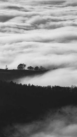 蜘蛛池一天多少蜘蛛截图2