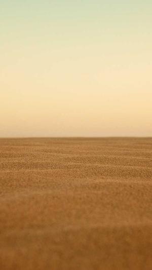 泛目录链接生成截图5