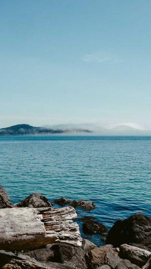 seo收录查询工具截图5