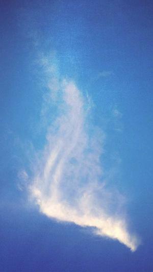 蜘蛛池免费版下载安装截图3